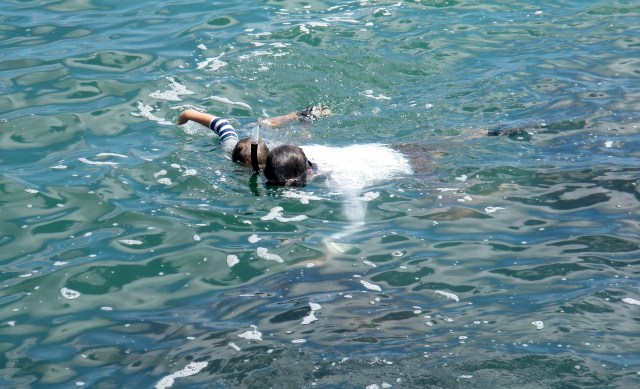 snook, mackrel, oh my!